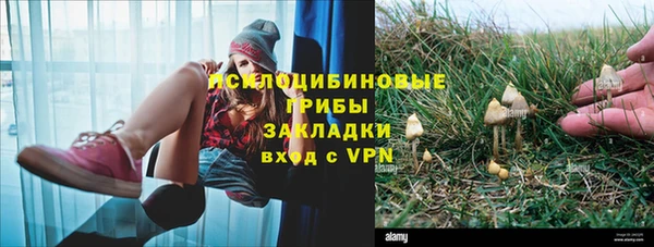трава Волоколамск